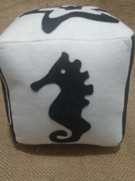 Cubo de Contraste - Brinquedo Pedagógico