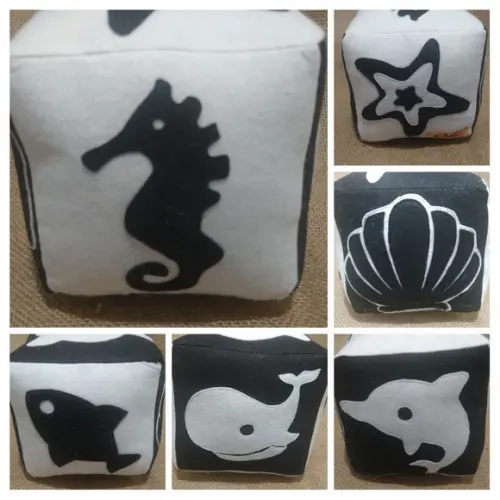 Cubo de Contraste - Brinquedo Pedagógico
