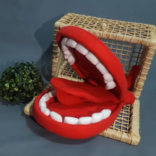 Boca Ludica