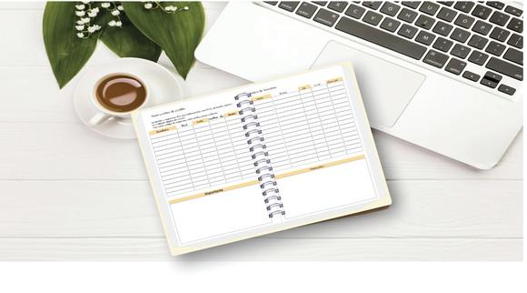 Controle Financeiro Feminino - Arquivo Digital