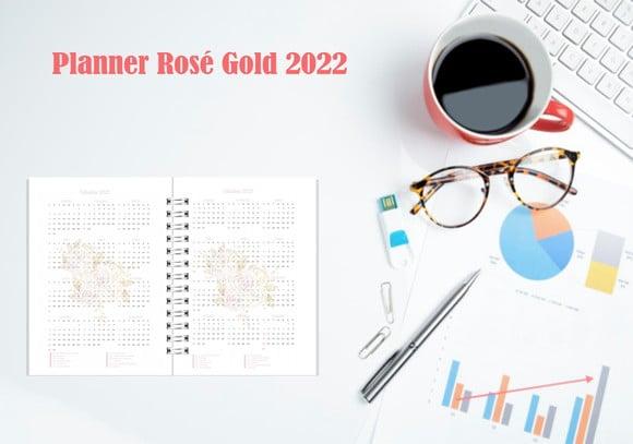 Planner Controle Financeiro 2022