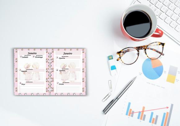 Planner Controle Financeiro Sarah kay 2022