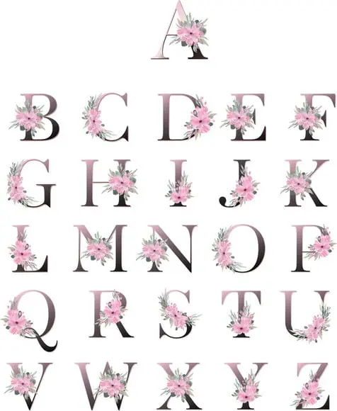 Alfabeto Floral Rosa Kit Digital