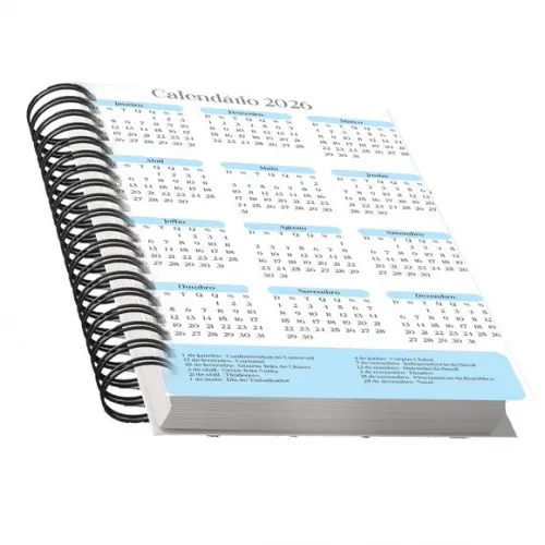 Arquivo Digital Agendamento Decoração 2026 Azul