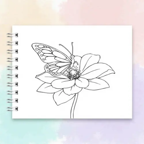 Arquivo Digital Livro de Colorir Borboletas Mágicas