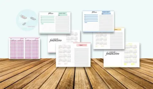 Controle Financeiro Feminino - Arquivo Digital