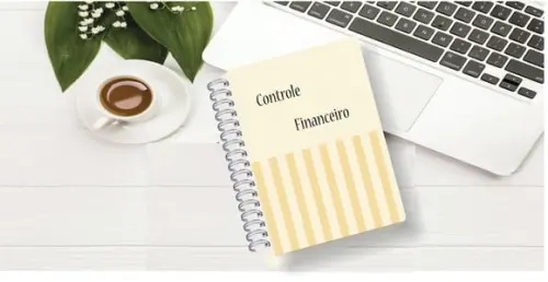 Controle Financeiro Feminino - Arquivo Digital