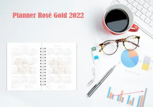 Planner Controle Financeiro 2022