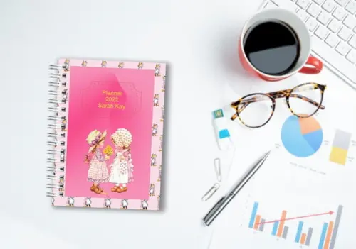 Planner Controle Financeiro Sarah kay 2022
