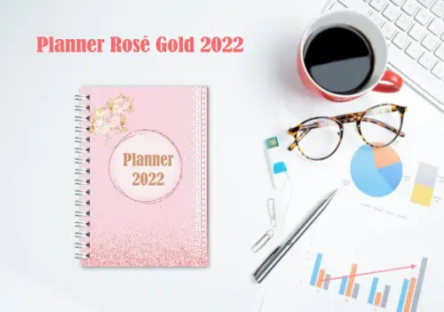 Planner Controle Financeiro 2022