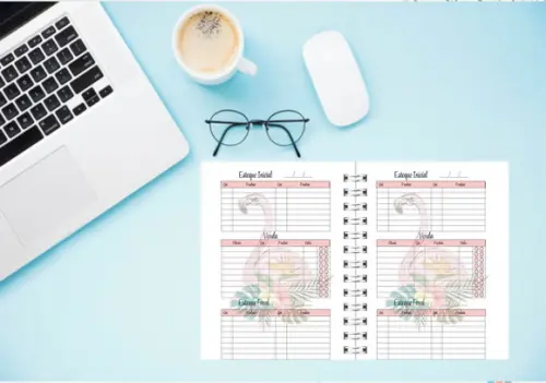 Planner Controle Financeiro 2022
