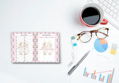 Planner Controle Financeiro Sarah kay 2022