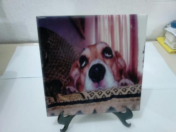Porta Retrato