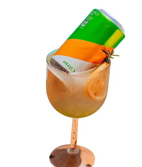 Taça Gin Acrílica Personalizada