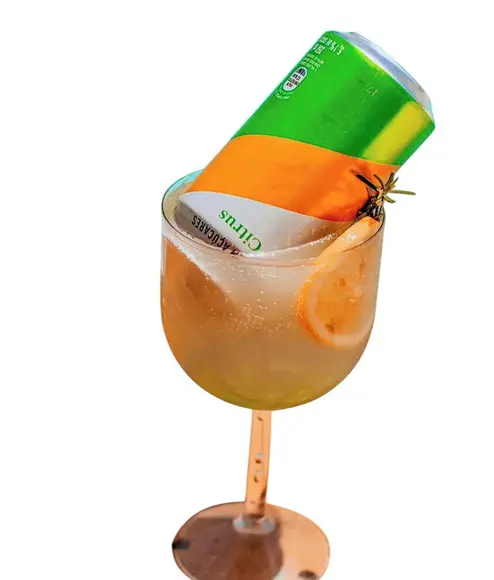 Taça Gin Acrílica Personalizada