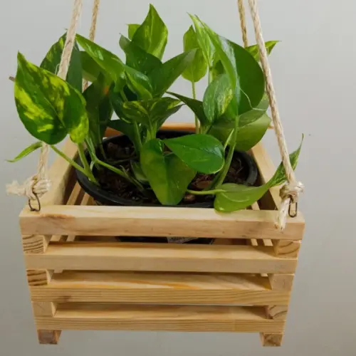 Kit Cachepô em Madeira Pinus Natural com Mão-francesa