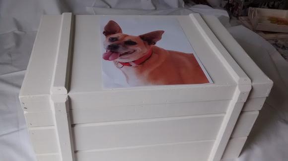 Bau Egípcio 2