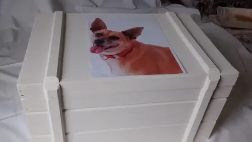 Bau Egípcio 2