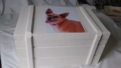 Bau Egípcio 2