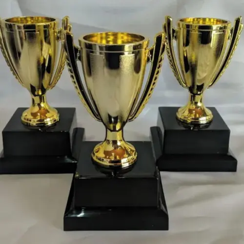 Troféu Acrílico Dourado Personalizado
