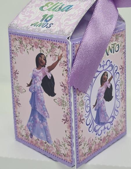 Caixa Milk Encanto Disney Isabela