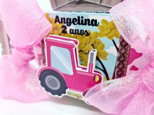 Caixa Bala Fazendinha Rosa