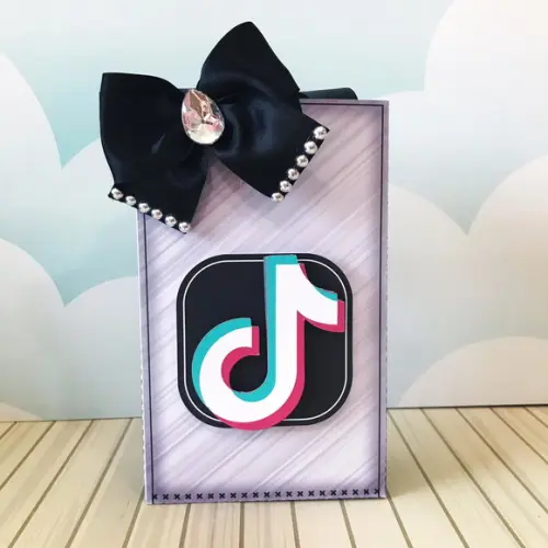 Sacolinha Tik Tok