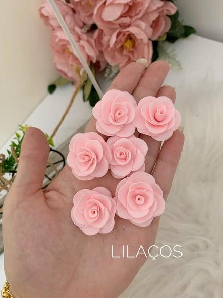 Flores Porcelana Fria, Biscuit