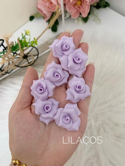 Flores Porcelana Fria, Biscuit