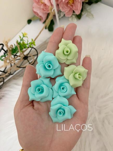Flores Porcelana Fria, Biscuit