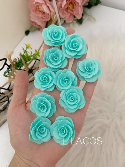 Flores Porcelana Fria, Biscuit