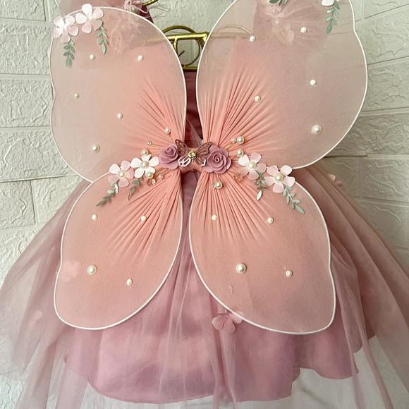 Kit Vestido Rosa e Rose, Sapato, Tiara, Asa