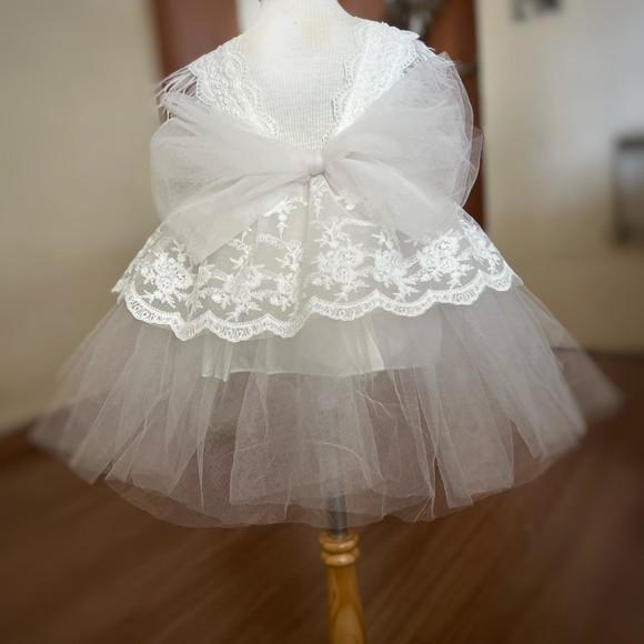 Vestido Renda Flores e Borboletas