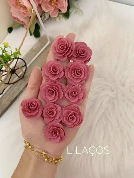 Flores Porcelana Fria, Biscuit