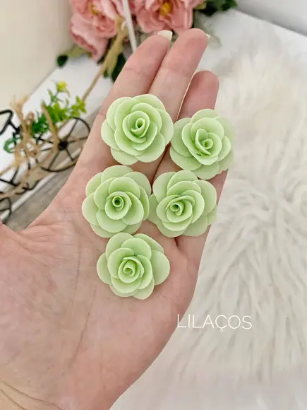 Flores Porcelana Fria, Biscuit