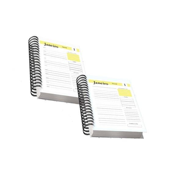 2 Miolos Agenda Amarela 2024 Arquivo Digital