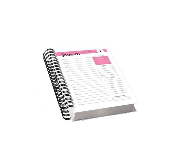 Miolo Agenda Rosa com Horas 2024 Arquivo Digital 01