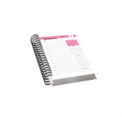 Miolo Agenda Rosa com Horas 2024 Arquivo Digital 01