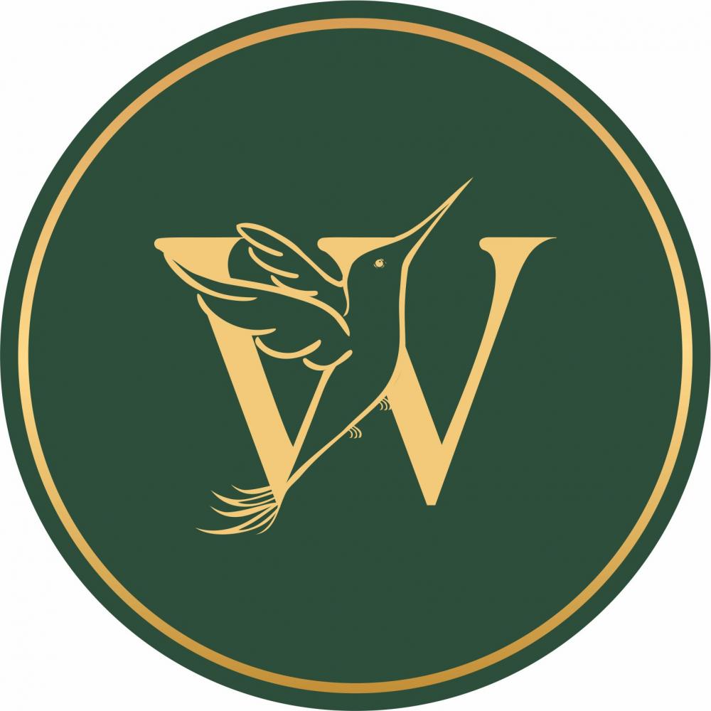 Wings studio criativo
