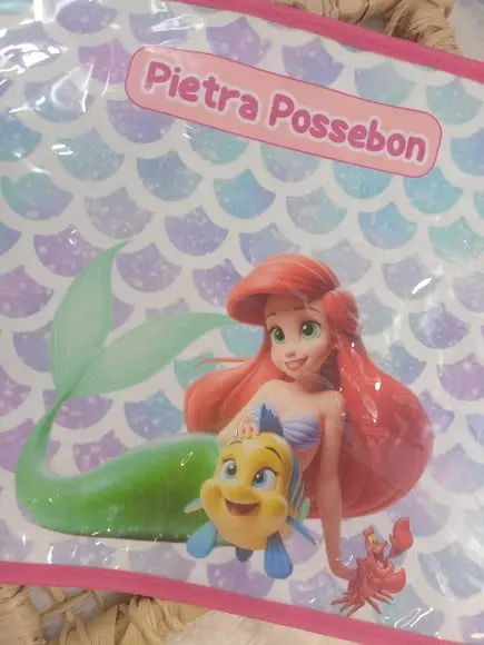 Jogo Americano Infantil Plastificado Princesas Ariel