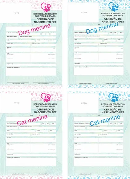 Arquivo Digital Certidão Cão e Gato/ Png - pdf e Studio