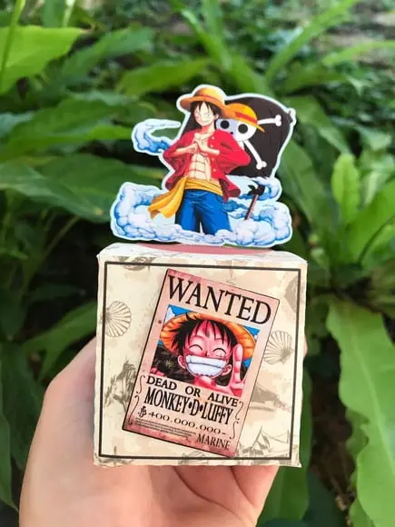 Caixa One Piece