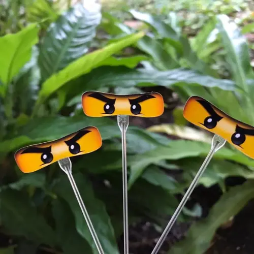 Ninjago
