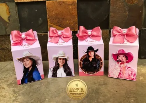 Personalizado Ana Castela Caixa Milk