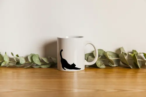 Caneca Gato