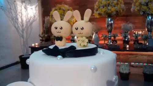 Coelhinhos do amor