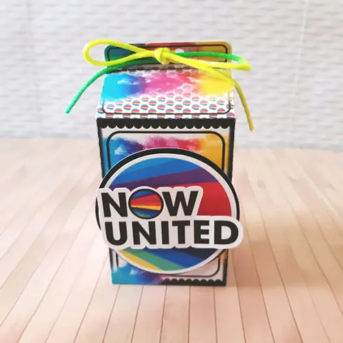 KIT FESTA NOW UNITED