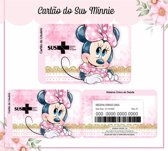 Arquivo Caderneta de Vacina Combo Minnie Rosa