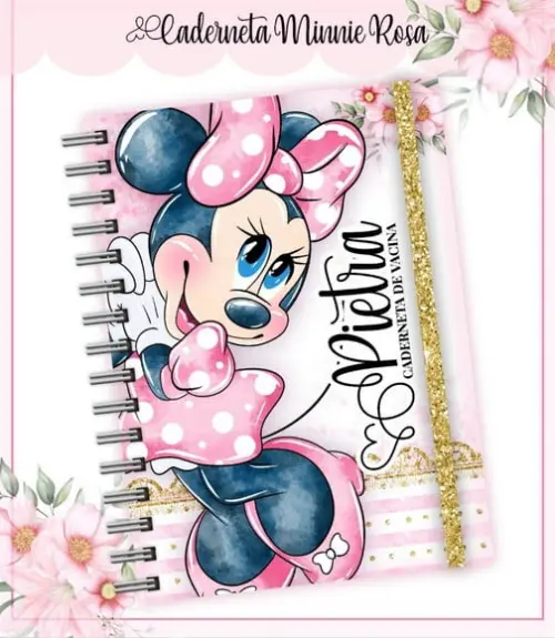 Arquivo Caderneta de Vacina Combo Minnie Rosa
