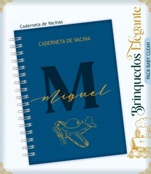 Arquivo Combo Caderneta de Vacina Livro Brinquedos Azul Luxo